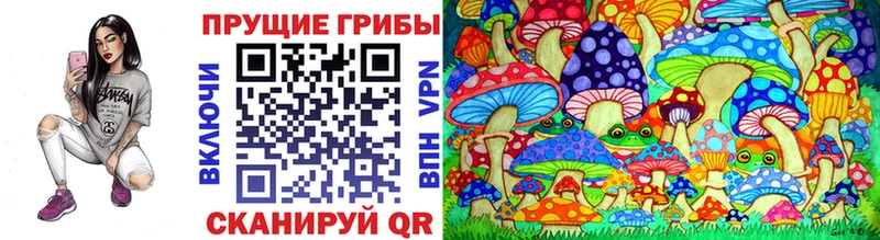 Псилоцибиновые грибы Magic Shrooms  продажа наркотиков  мориарти формула  Пыталово 